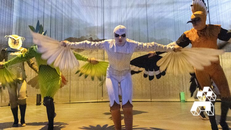 La conférence des oiseaux