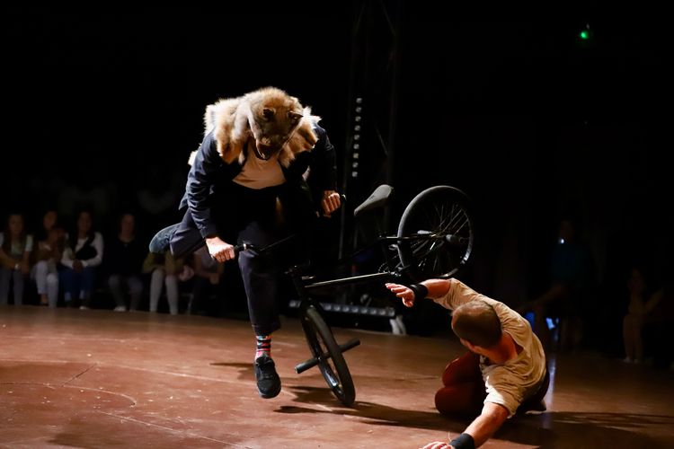 Démo BMX
