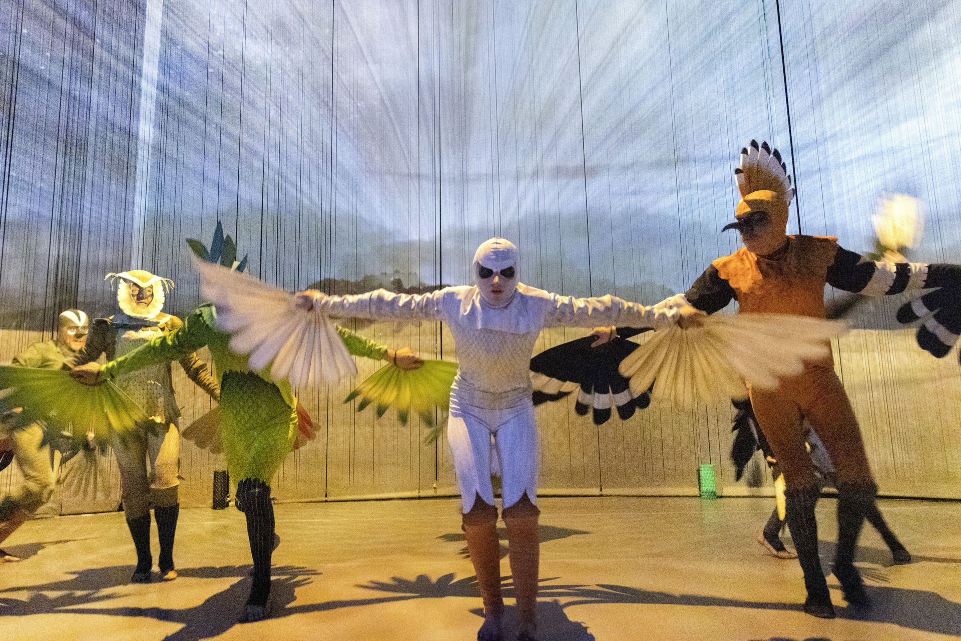 La conférence des oiseaux